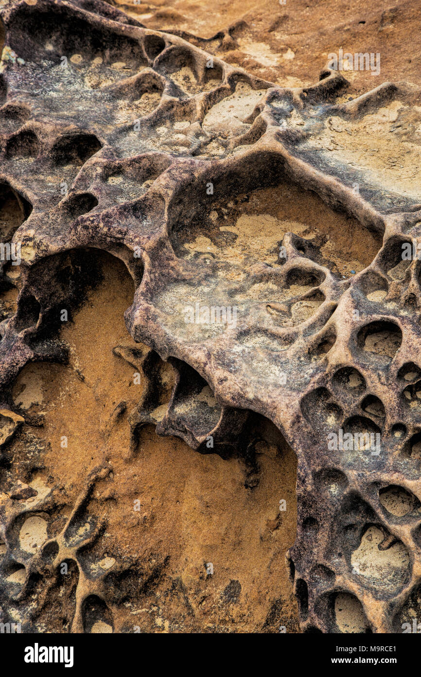 weathering patterns in the limestone within the Yehliu