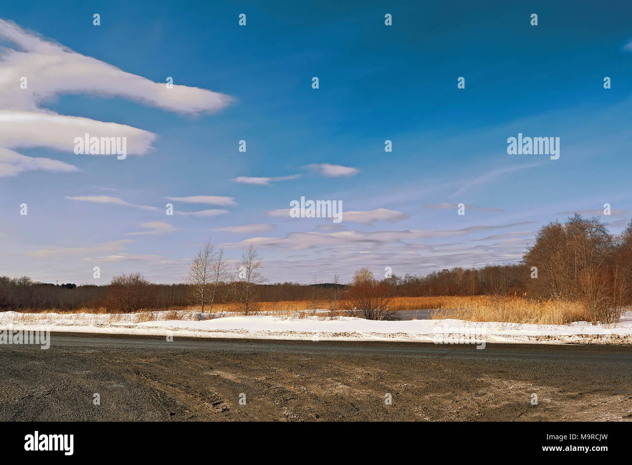 Melted spring creek in forest hi-res stock photography and images - Alamy