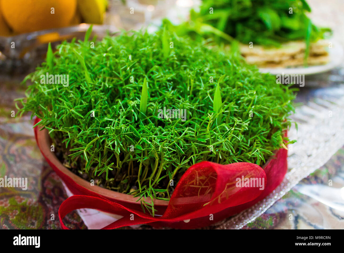 new year in Iran is Nowruz . We celebrate this day in Iran . This is a historical event . Stock Photo