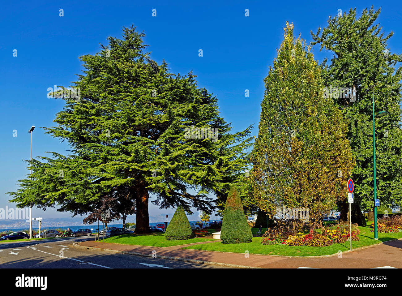 Charles Besson Besson street hi-res stock photography and images - Alamy