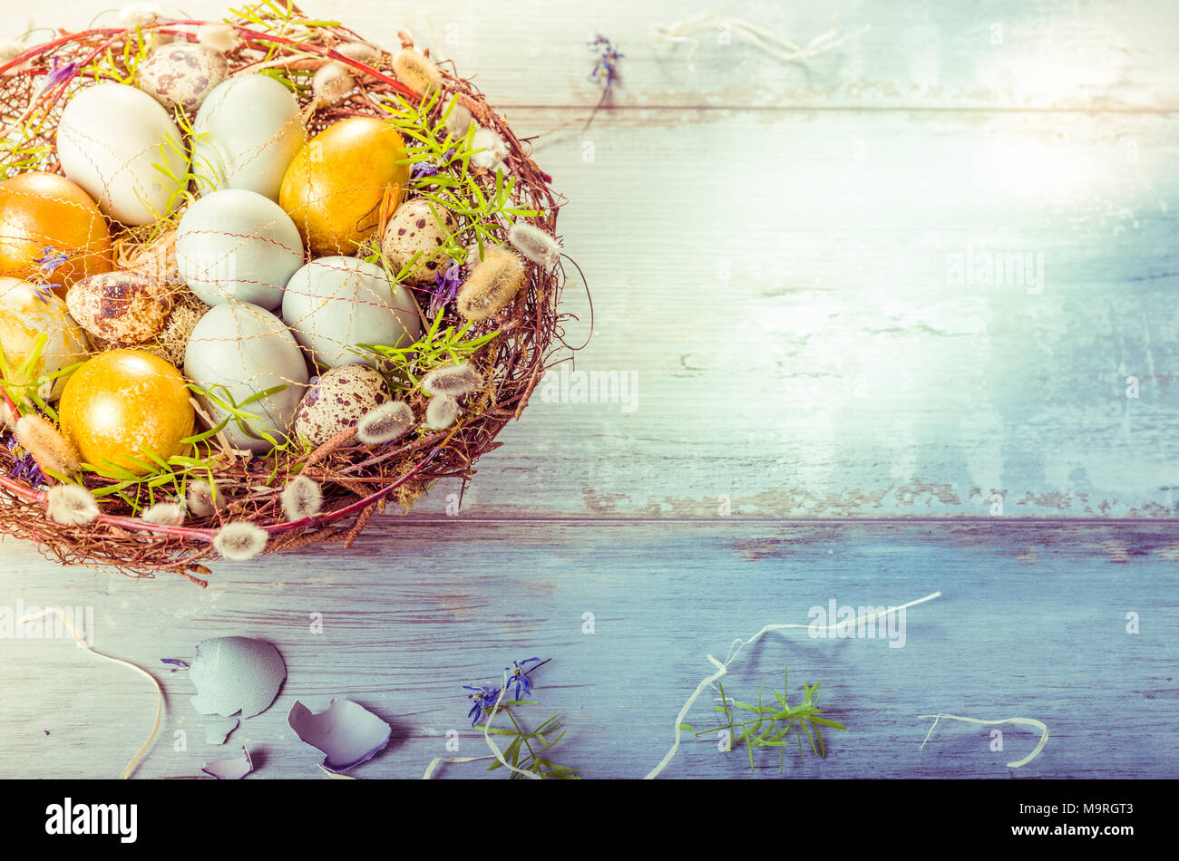 Easter background with Easter eggs and spring flowers. Top view with ...