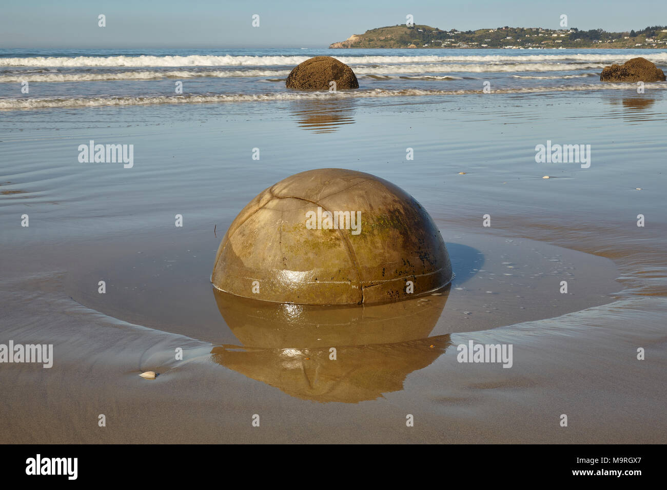 Close up of a Moeraki boulder half submerged shining in the sun with other boulders in the background and the tide out, New Zealand, South Island, NZ Stock Photo