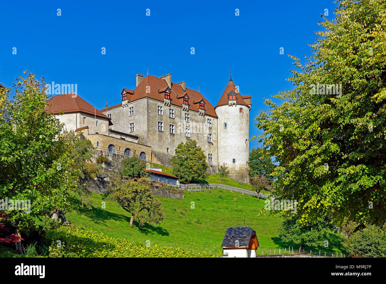 Europe, Switzerland, Freiburg, gruyere cheese, Rue de l'Eglise, Château