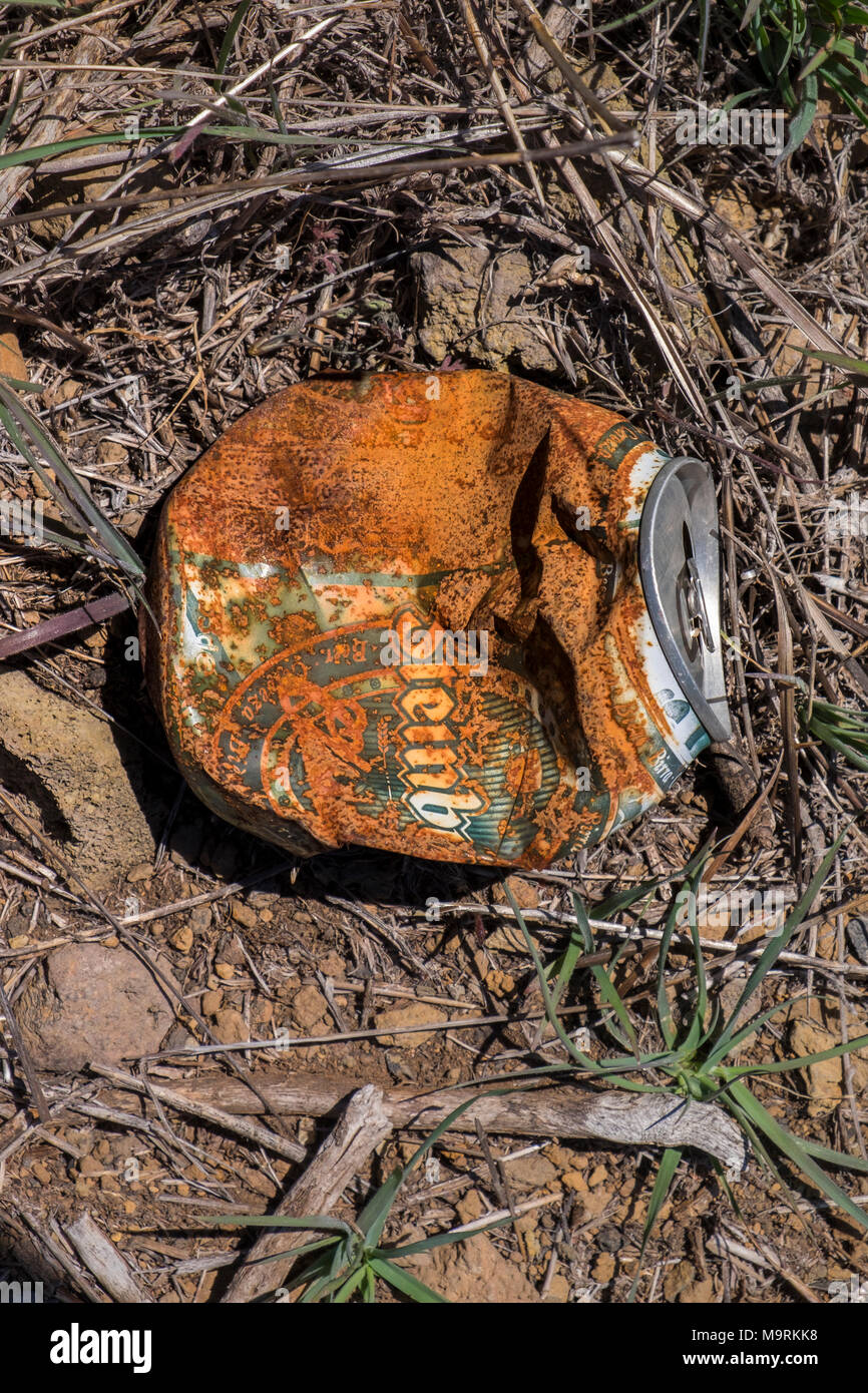 Rusting beer can discarded on the ground in the countryside Stock Photo