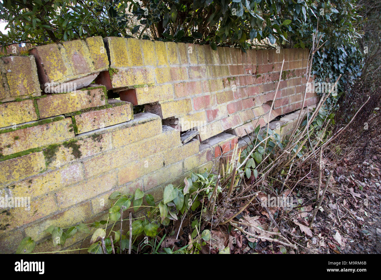 Impact damage to red brick garden wall caused by vehicle reversing, Suffolk, England, UK Stock Photo