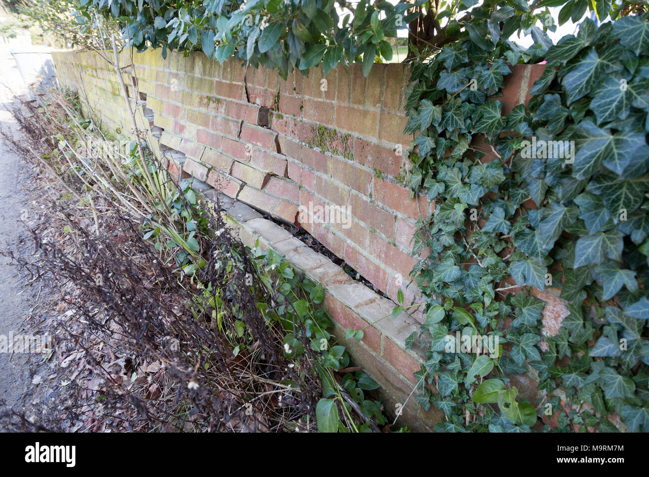 Impact damage to red brick garden wall caused by vehicle reversing, Suffolk, England, UK Stock Photo