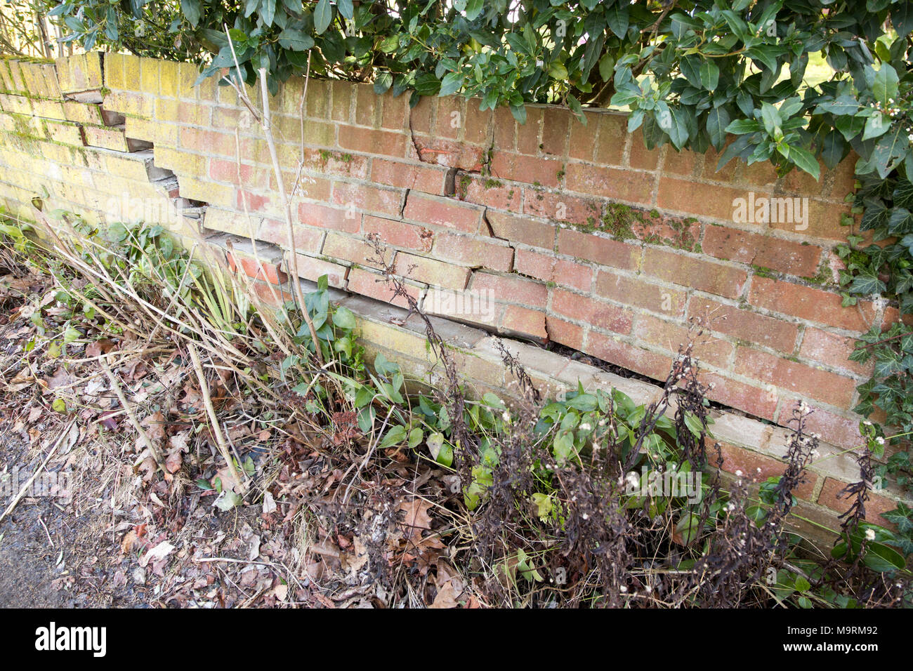 Impact damage to red brick garden wall caused by vehicle reversing, Suffolk, England, UK Stock Photo