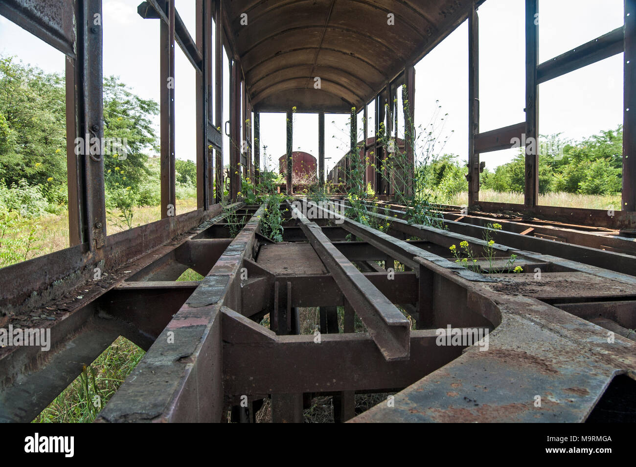 Old devastated railway wagon on the railway track in the weeds, bushes and grass. Stock Photo