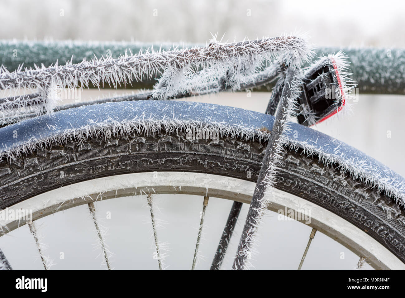 Frozen mudguard by fog on a blue bicycle. Stock Photo