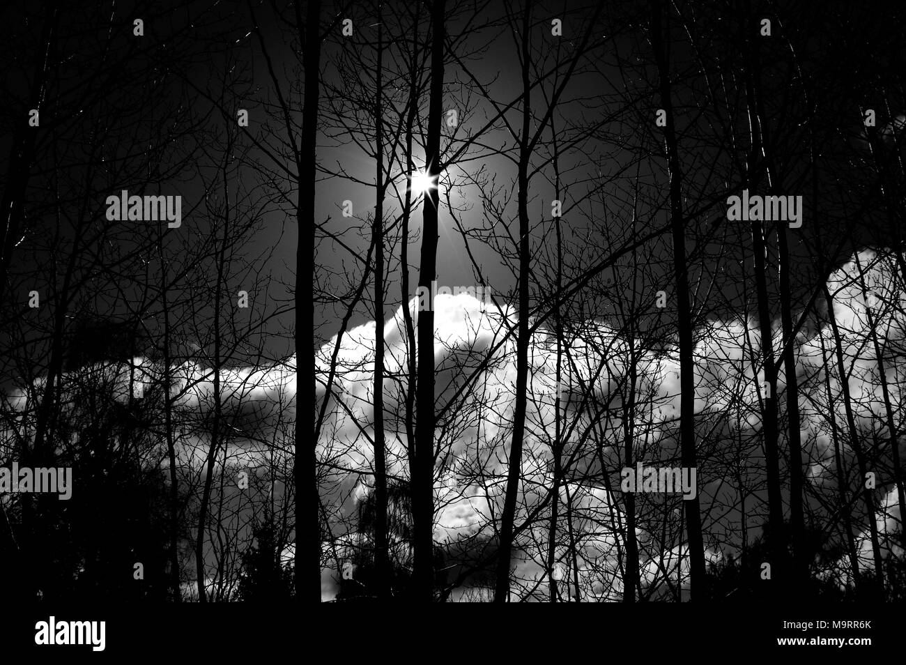 Sky with clouds and sunlight Black and White Stock Photos & Images - Alamy