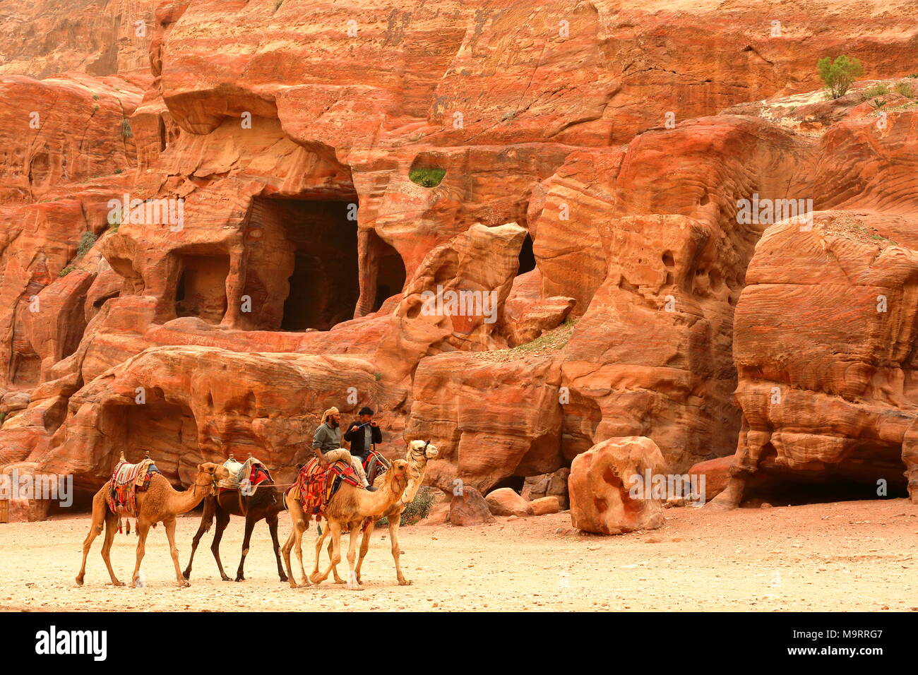 PETRA, JORDAN - MARCH 13, 2016: Bedouins riding their camels with colorful sandstones in the background Stock Photo