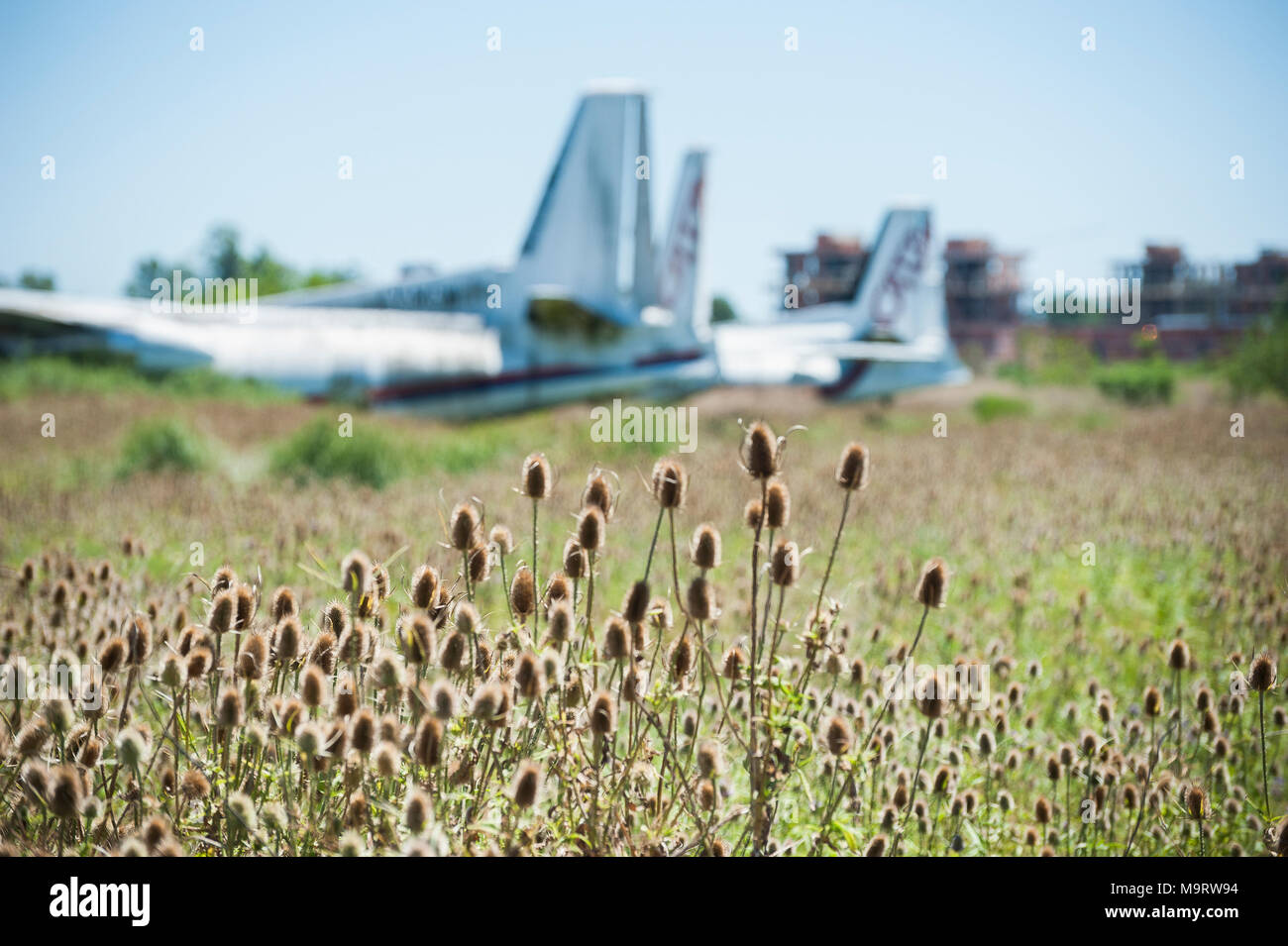 Nature taking over abandoned Fairchild airplanes of CATA Linea Aerea at the Moron Airport in Buenos Aires Stock Photo