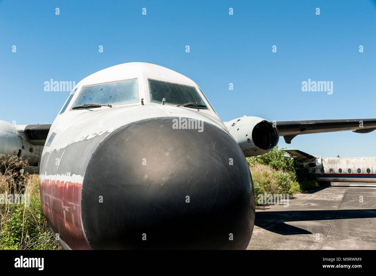 Nature taking over abandoned Fairchild airplanes of CATA Linea Aerea at the Moron Airport in Buenos Aires, showing here a detail of nose and cockpit Stock Photo