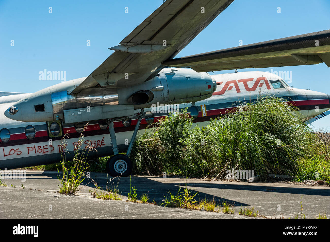 Nature taking over abandoned Fairchild airplanes of CATA Linea Aerea at the Moron Airport in Buenos Aires, underwing and motor Stock Photo