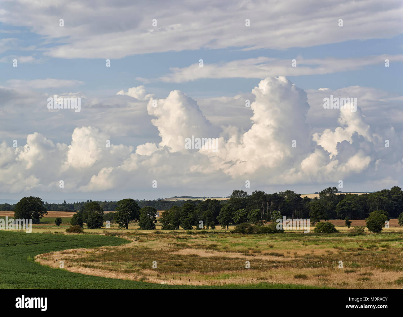 Cumulonimbus Clouds beginning to form over the Angus Countryside at