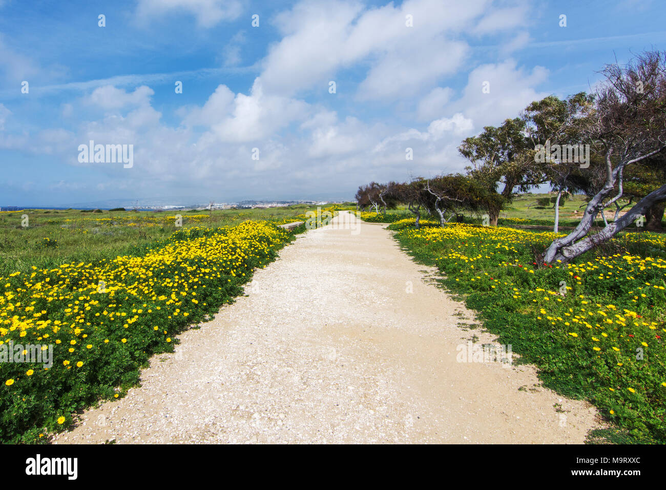 Kato paphos cyprus theatre hi-res stock photography and images - Alamy