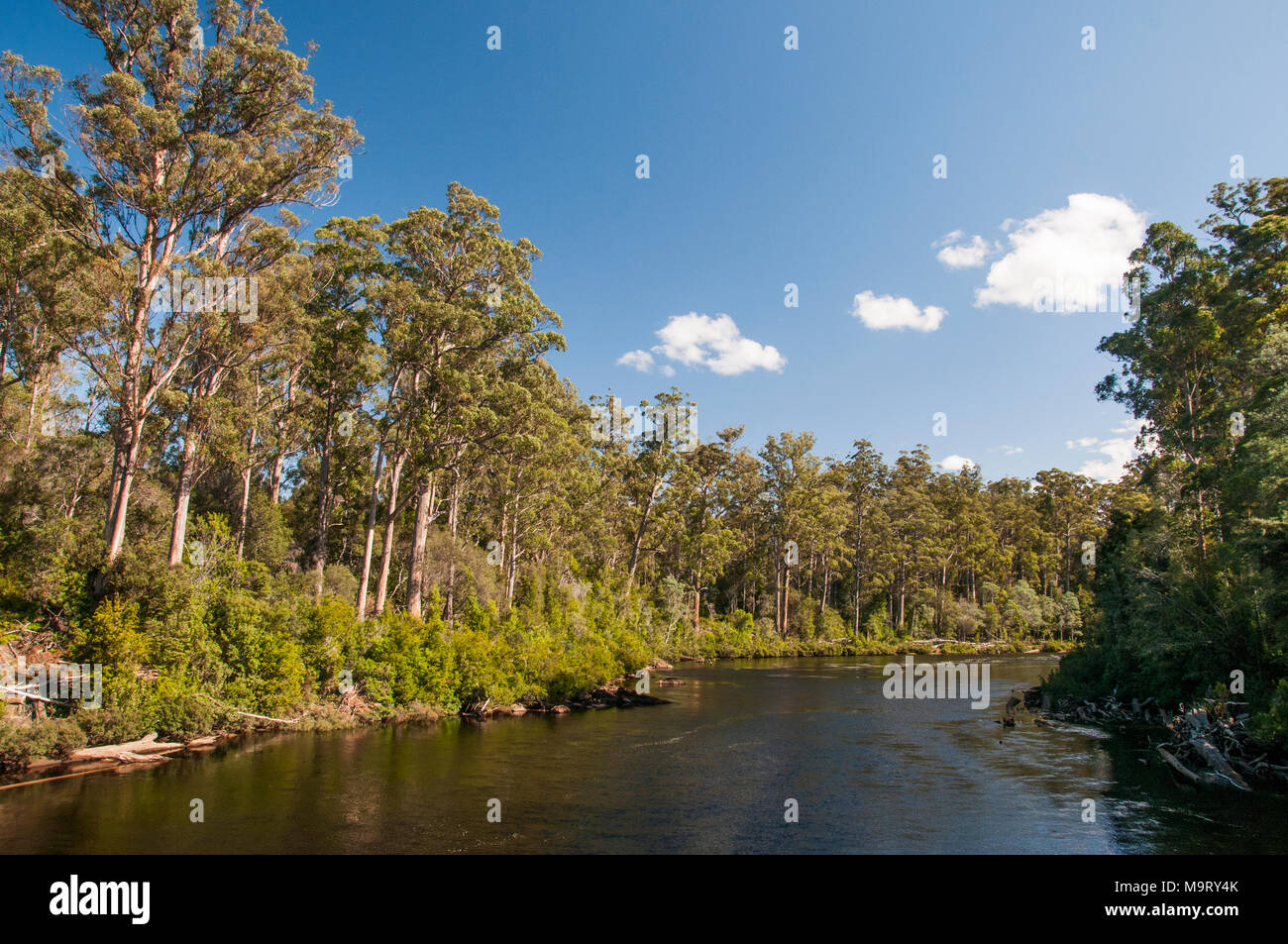 Huon River at Tahune AirWalk, Tahune Forest Reserve, Geeveston