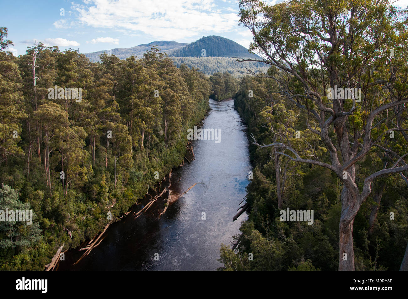 Huon river tasmania hi-res stock photography and images - Alamy