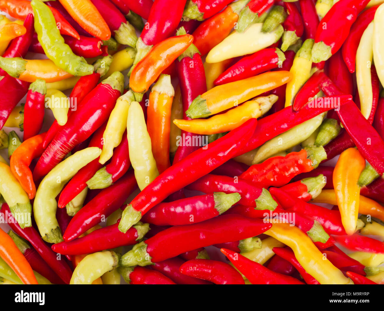 Lots of chilli peppers hi-res stock photography and images - Alamy