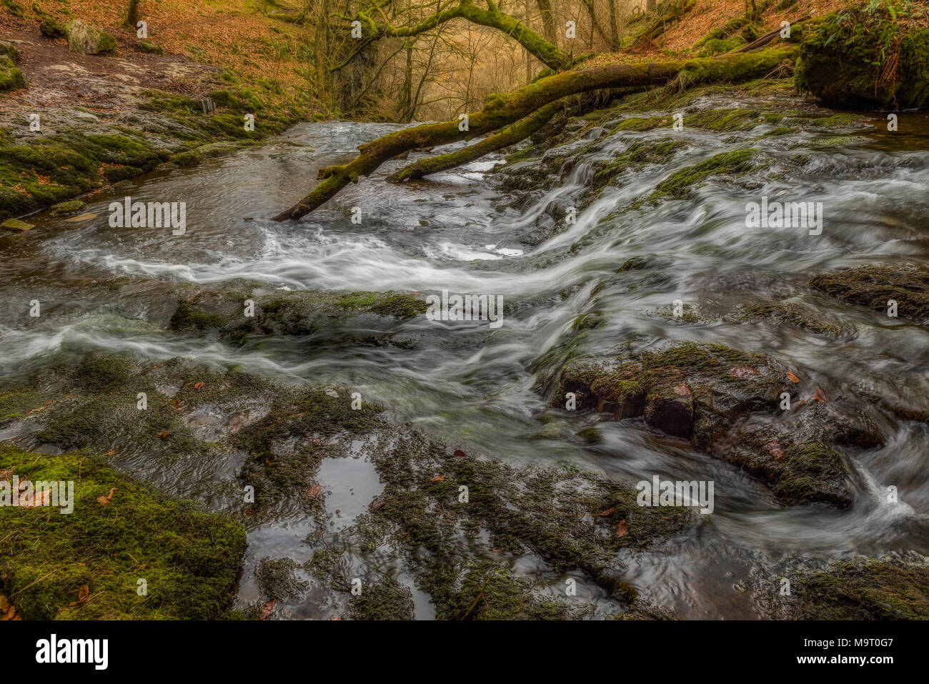 Catrigg Force near stain forth Yorkshire Stock Photo