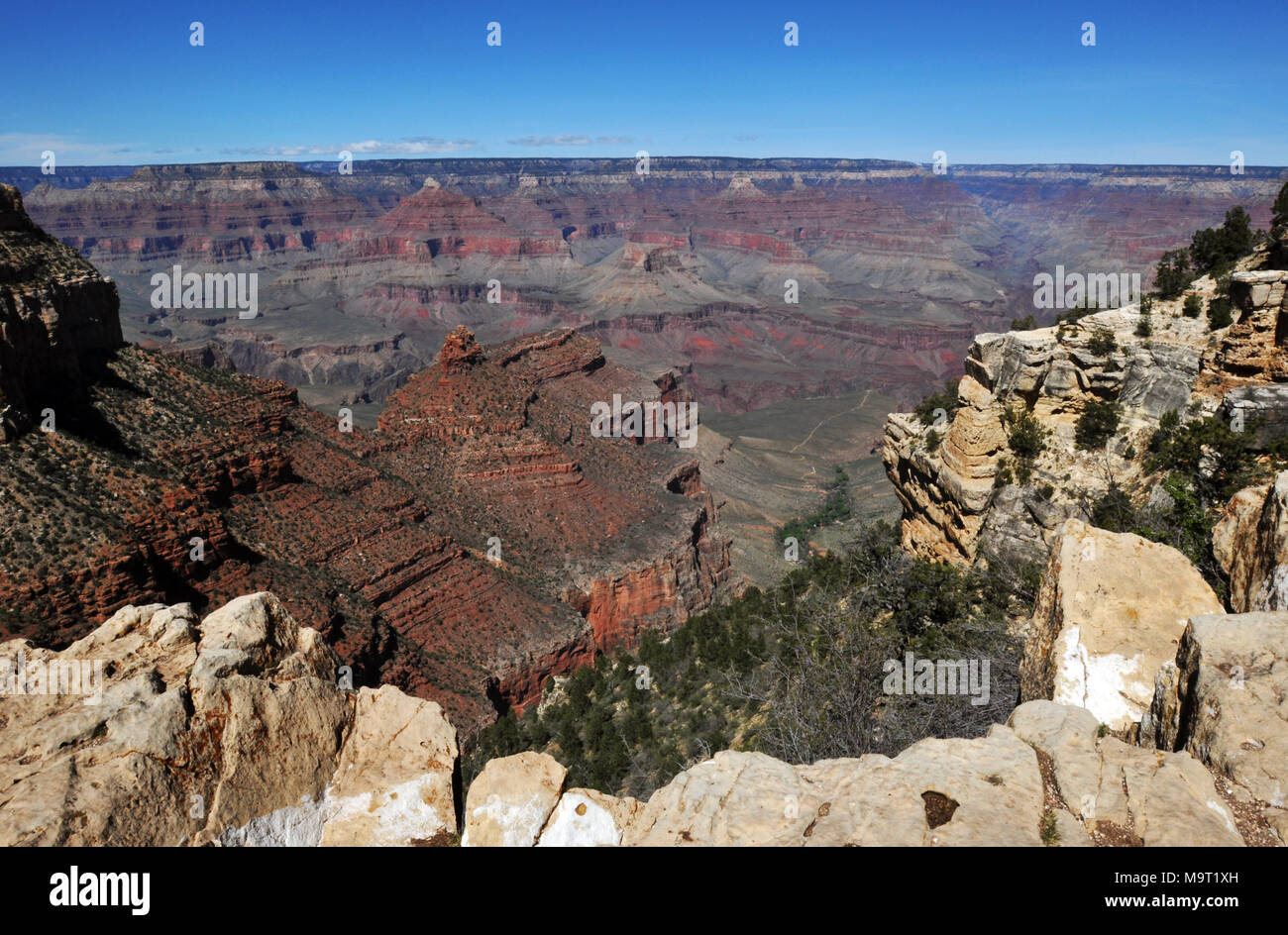 Grand Canyon National Park view from the popular Rim Trail in Grand Canyon Village along the South Rim. Stock Photo