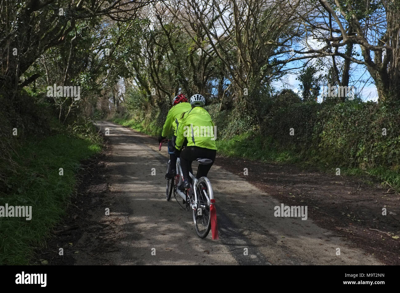 Tandem bike riders on a country lane in Cornwall, UK Stock Photo