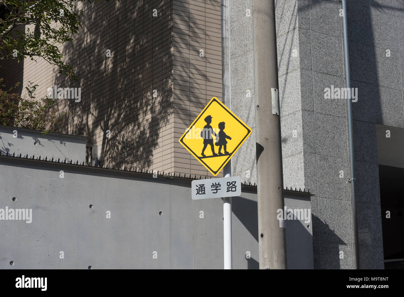 Road sign of School road in Japan Stock Photo