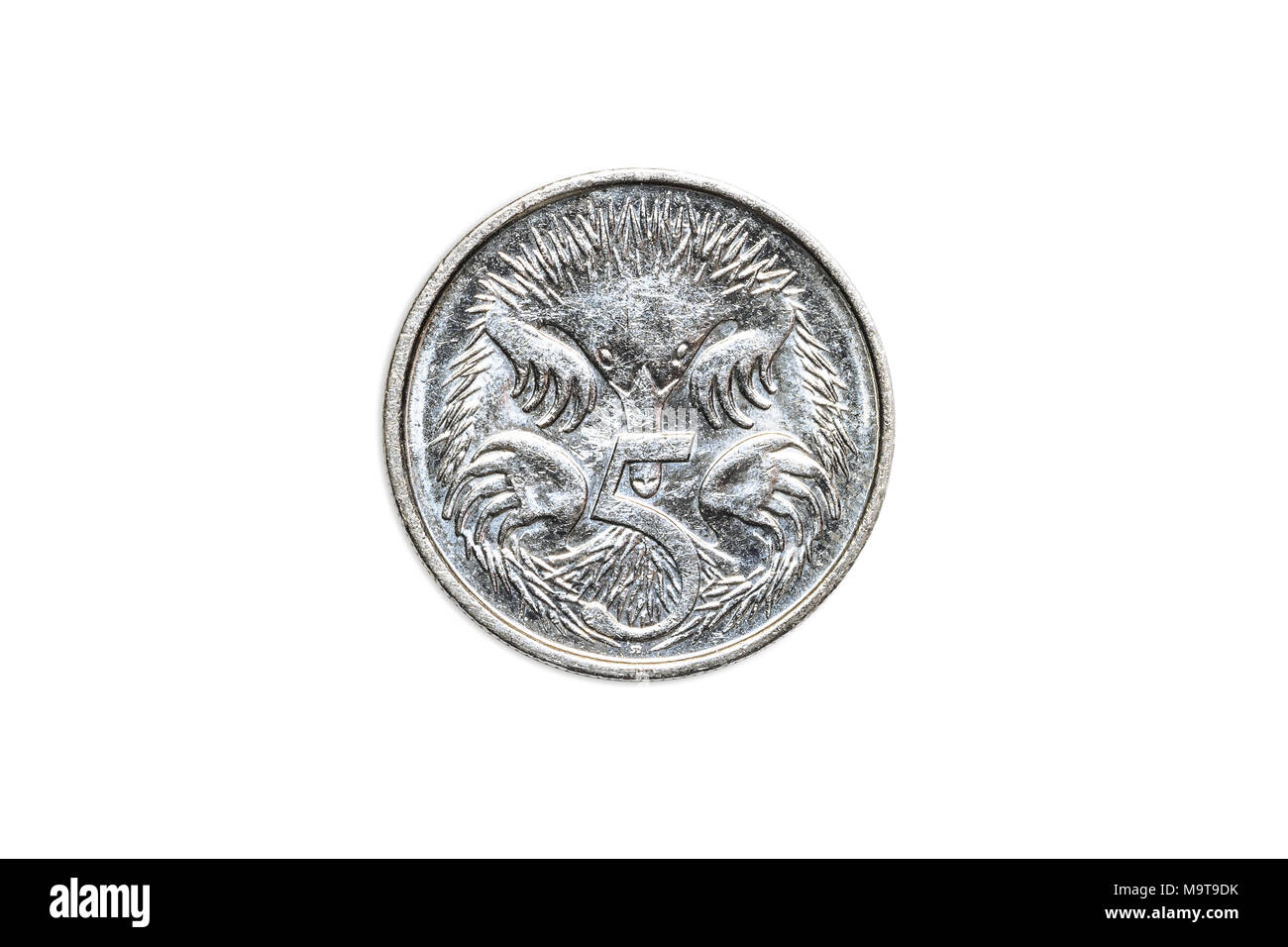 Australian coin of five cents of dollar of Australia, AUD currency, close up of the tail side with echidna animal icon. Isolated on white studio background. Stock Photo