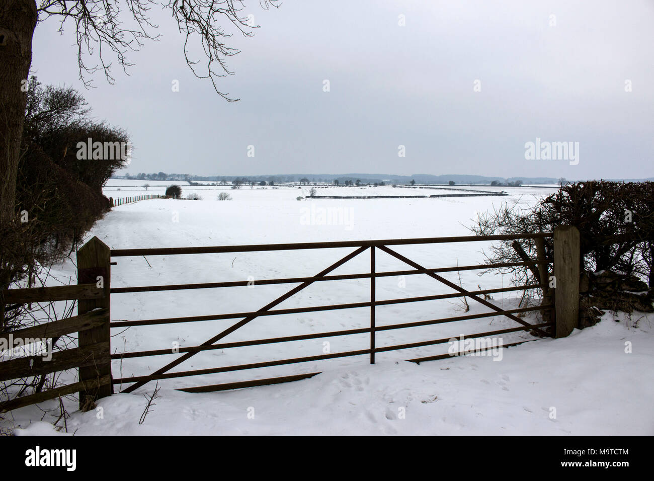 Metal Farm gate entrance with snow covered fields, Yorkshire, UK Stock Photo