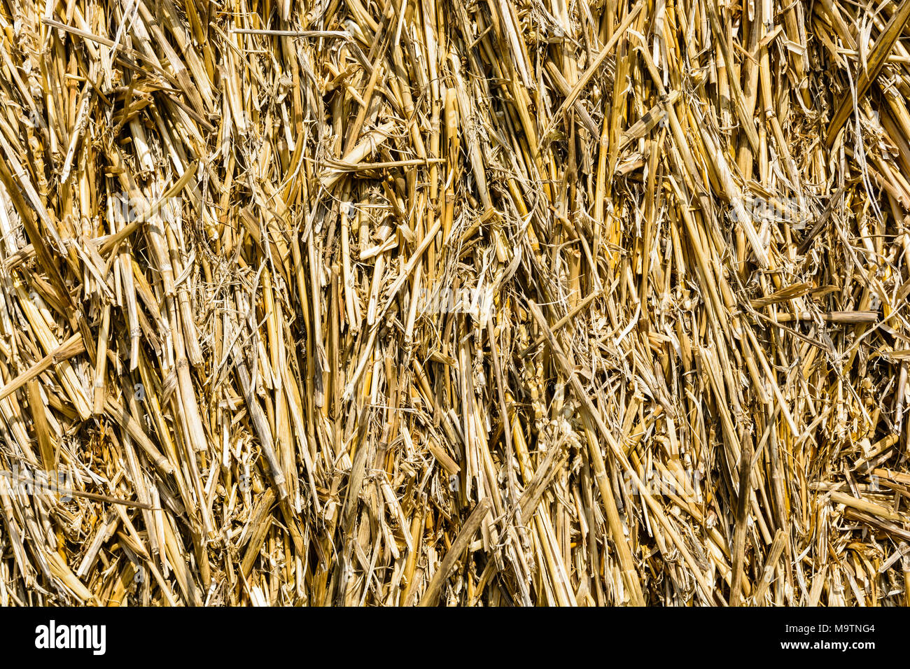 The difference between hay and straw in the garden