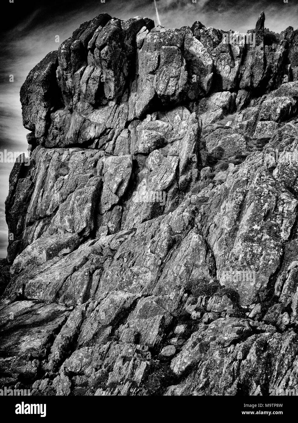 English channel wildlife Black and White Stock Photos & Images - Alamy