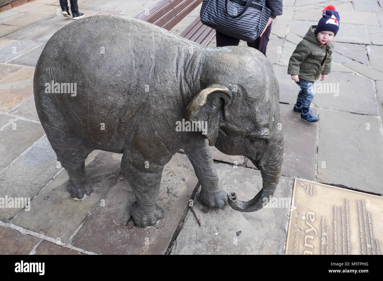 Janya,bronze,Indian,Asian,elephant,calf,sculpture,statue,given,by