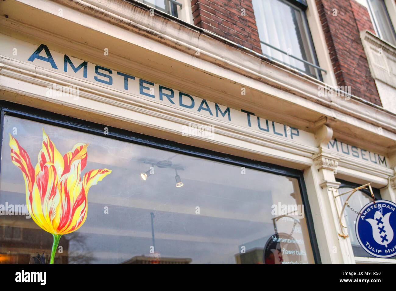 Amsterdam Tulip Museum Flower shop Jordaan The Netherlands Stock Photo