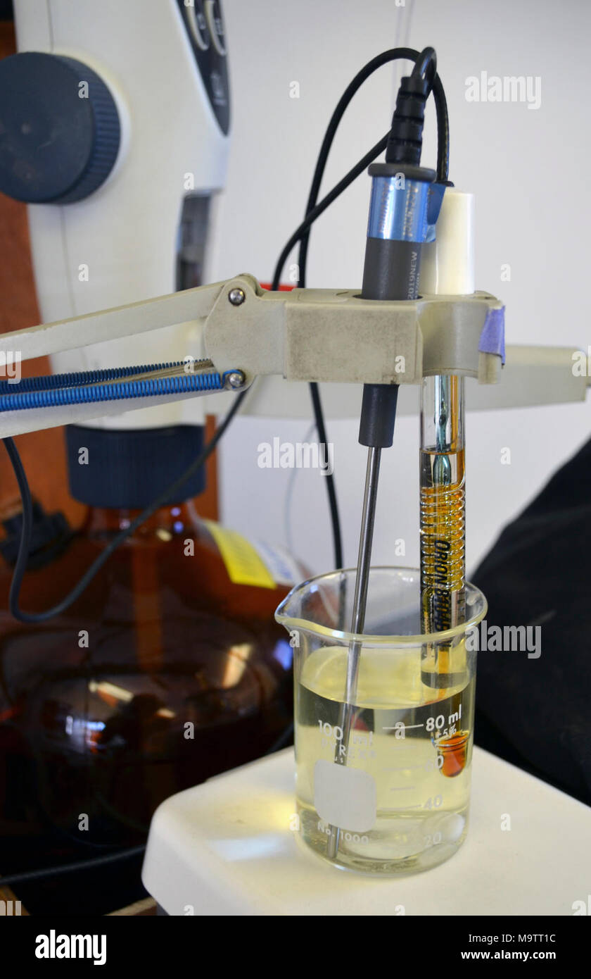 Testing the pH levels in Conneaut Creek. Testing the pH levels in