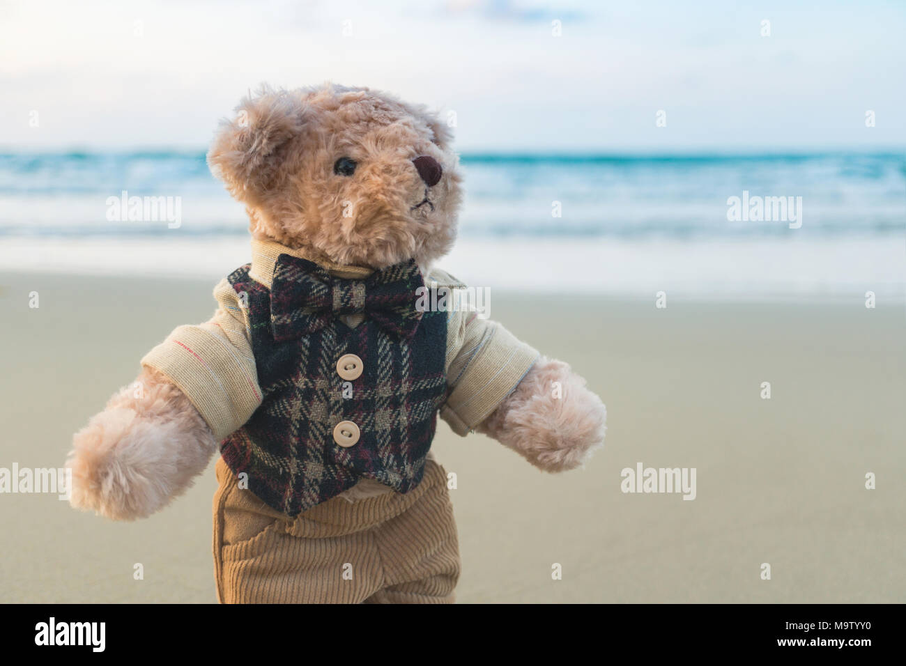 Teddy bear standing on the beach Stock Photo - Alamy
