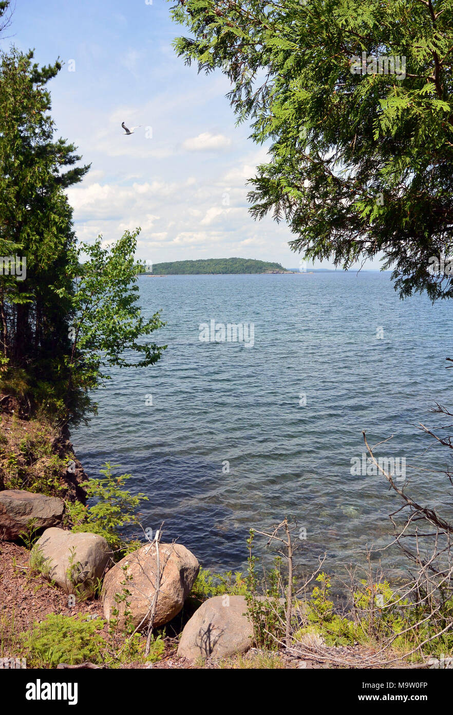 Are Dogs Allowed In Presque Isle Park