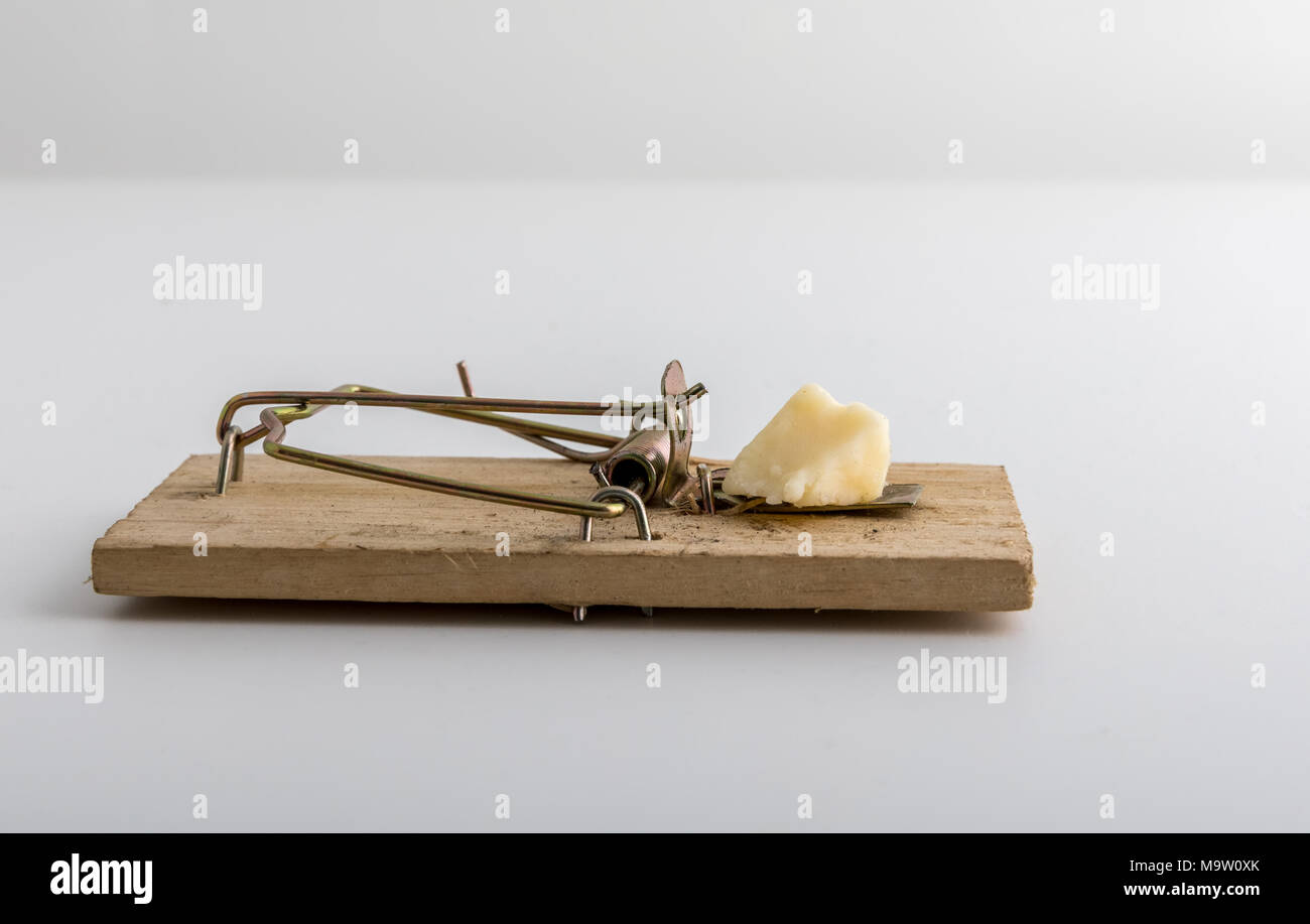 wooden mouse trap with cheese bait, light background, studio Stock Photo