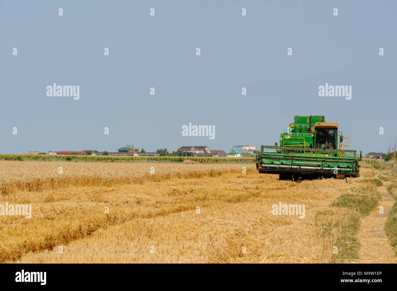 Kuchugury, Russia - July 16, 2017: Harvester machine to harvest wheat field working. Combine harvester agriculture machine harvesting golden ripe whea Stock Photo