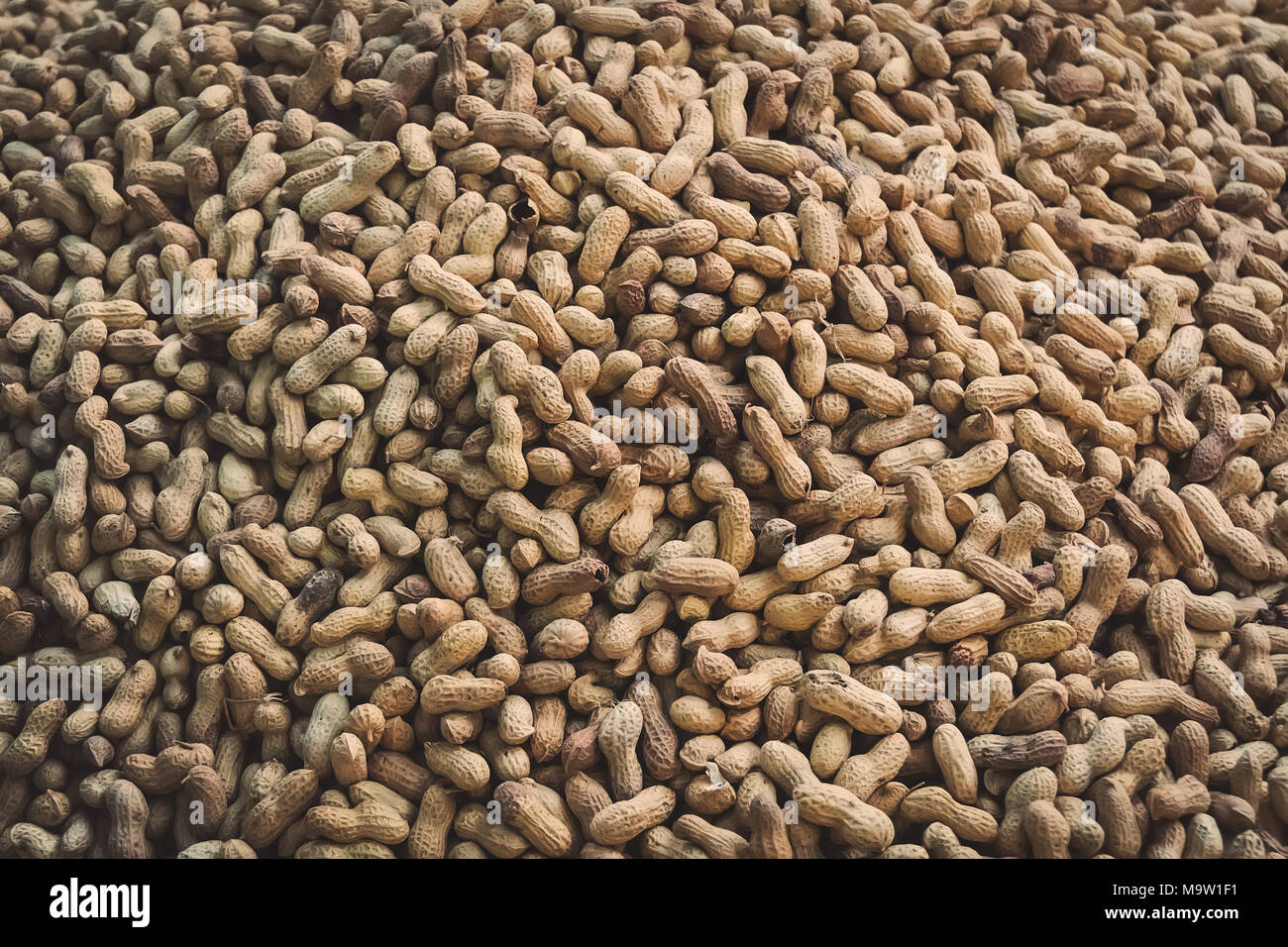 a bunch of peanuts as a background. Roasted peanuts in shell. Stock Photo