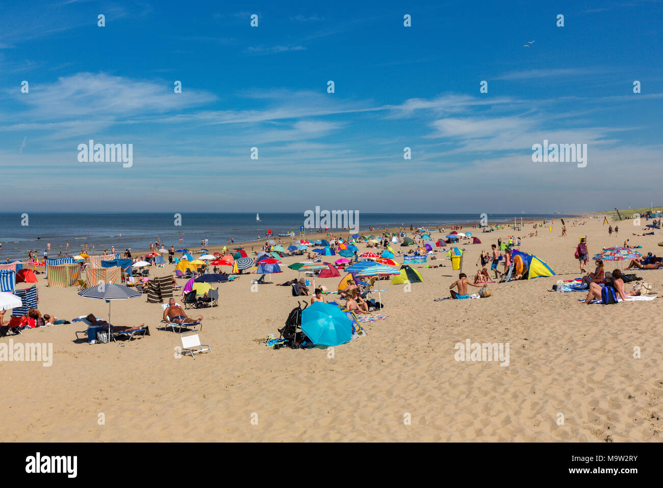 Sunbathing on the beach in Noordwijk Zuid Holland. Stock Photo
