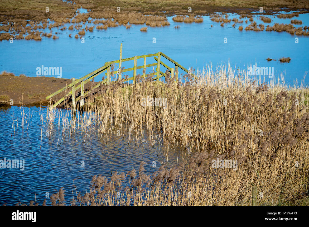 Frampton marsh hires stock photography and images Alamy