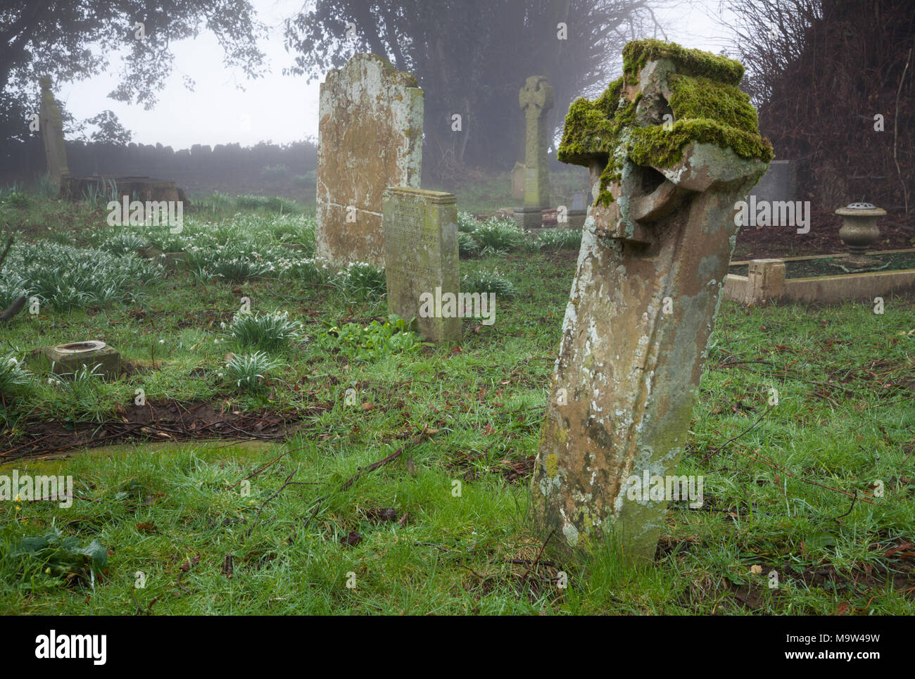 A foggy morning among the gravestones in a country churchyard, All Saints church, Holdenby, Northamptonshire, England. Stock Photo