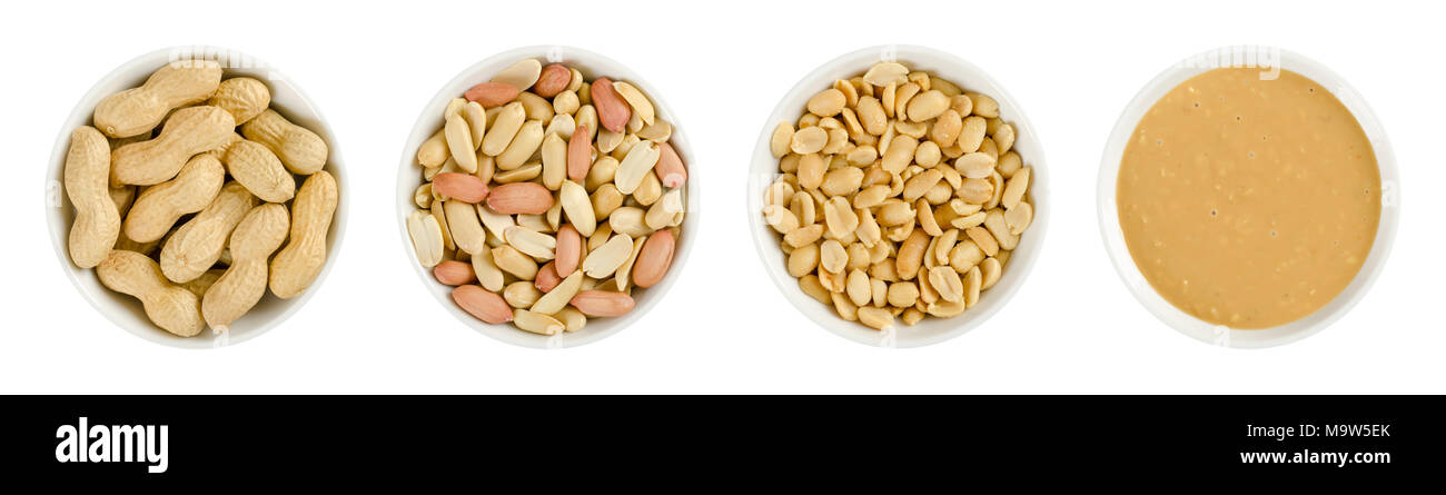 Peanuts in white porcelain bowls. Roasted groundnuts in shells, shelled, salted and crunchy peanut butter. Snack and spread. Arachis hypogaea. Stock Photo
