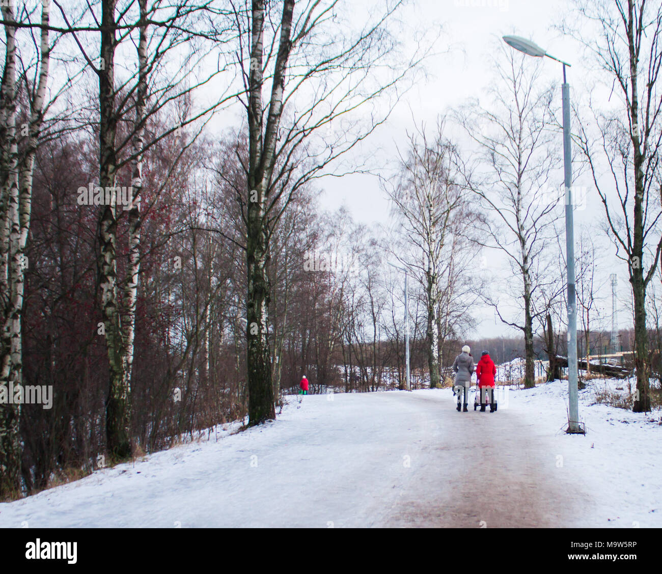 Women walking forest winter hi-res stock photography and images - Alamy
