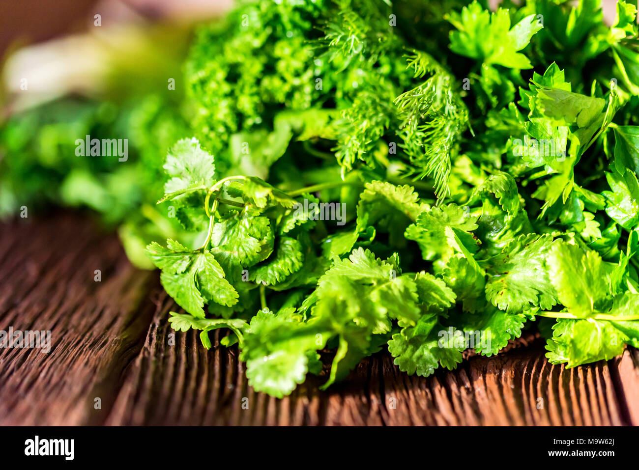 Fresh green cooking herbs on wooden background Stock Photo