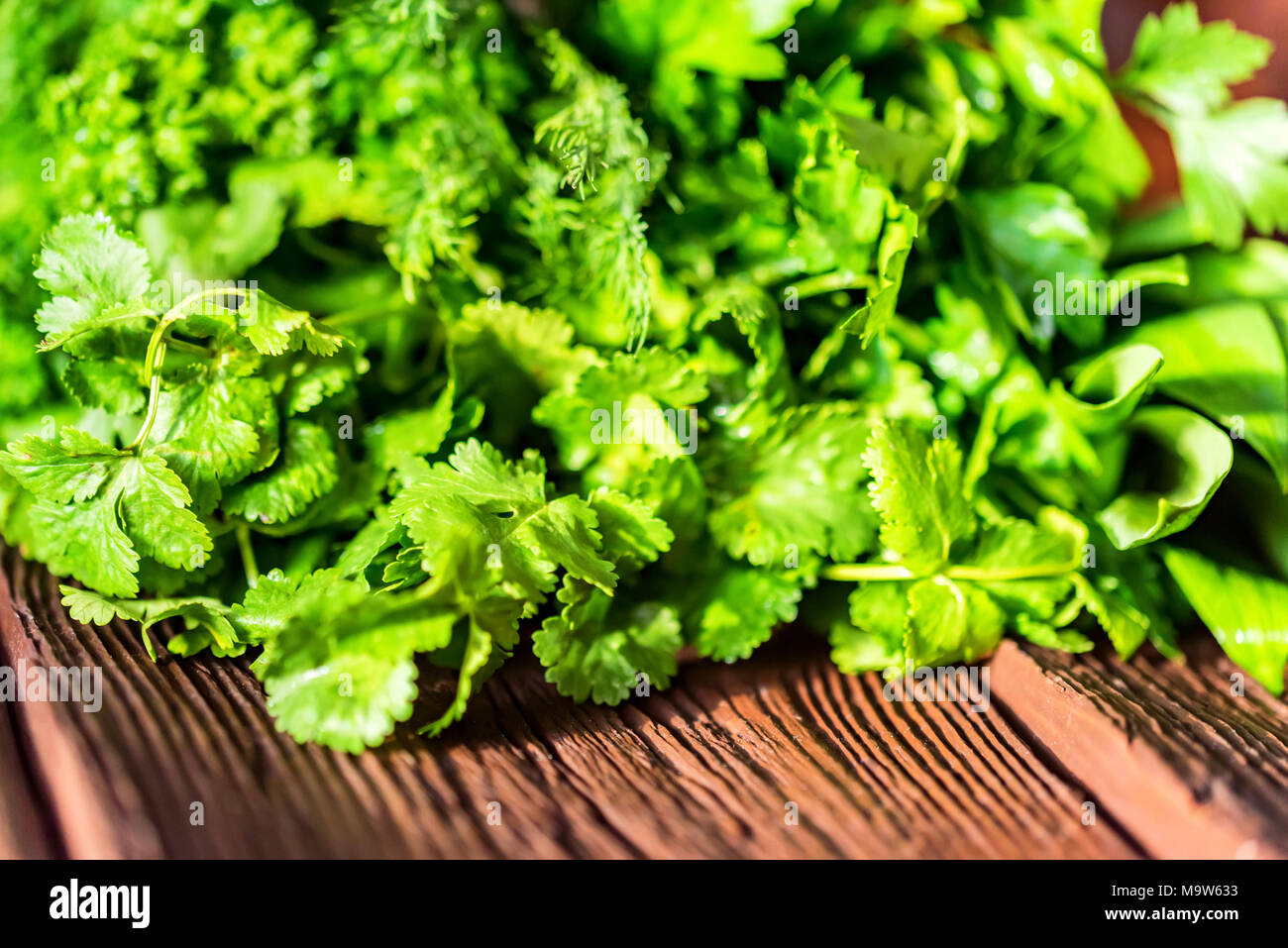 Fresh green cooking herbs on wooden background Stock Photo
