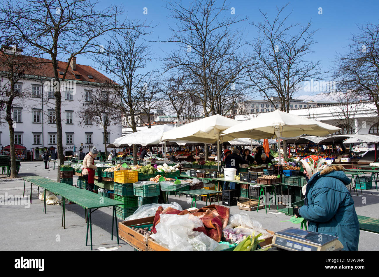 The Fruit and Vegetable Market Ljubljana Slovenia Stock Photo