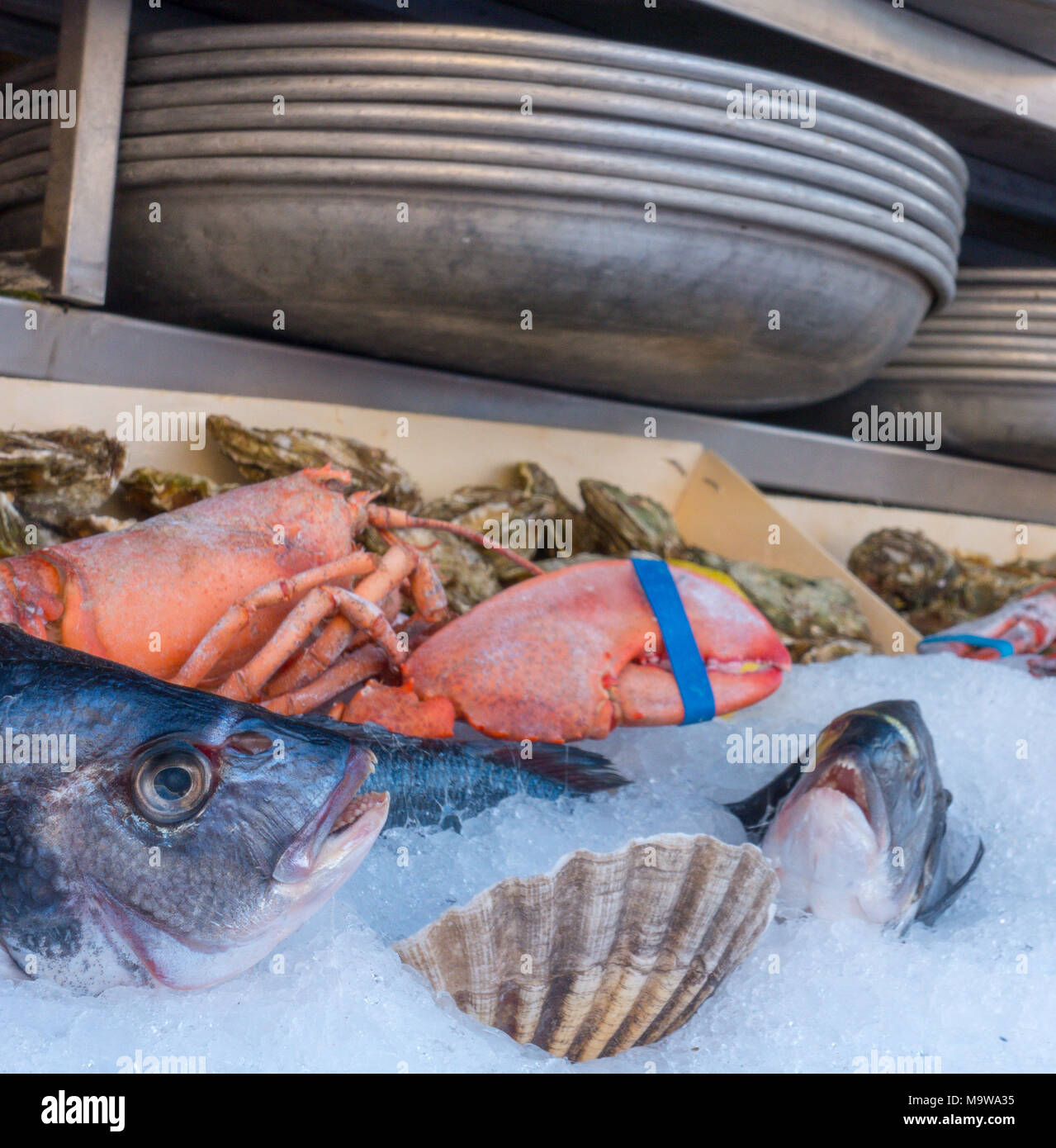 Seafood waiting to be cooked, French outdoor restaurant, Nice Stock Photo
