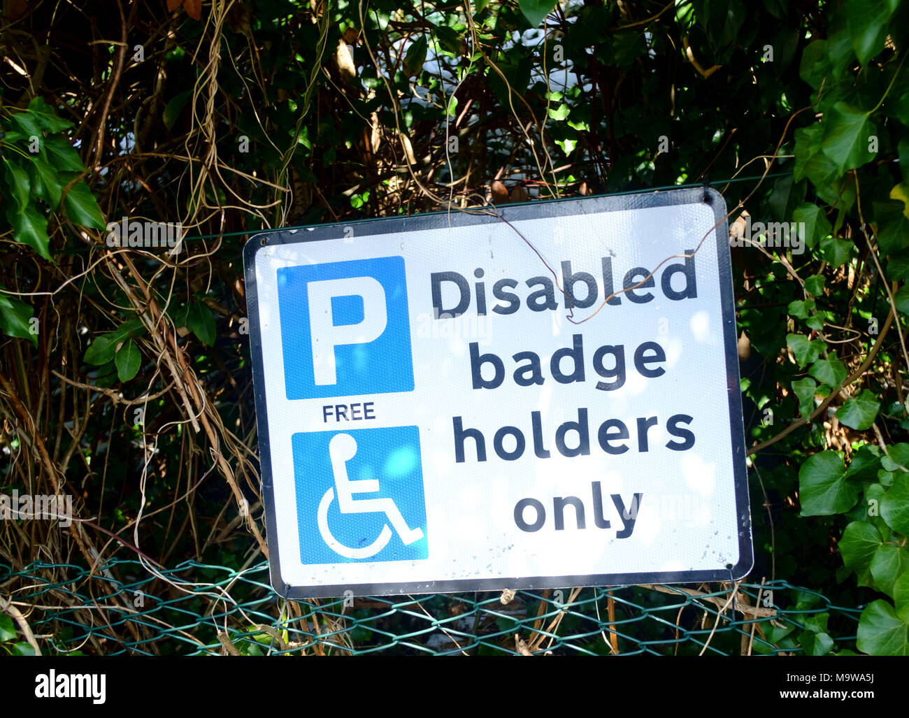 Car Parking in Somerset City of Bath,england UK disabled badge holders only Stock Photo