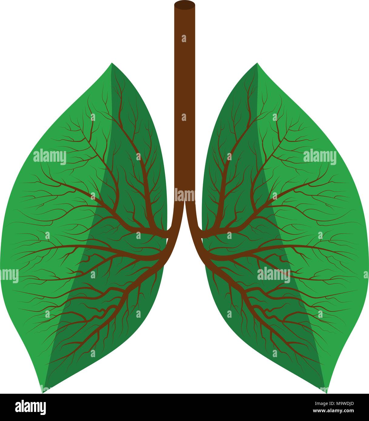 Vector Illustration drawing art  eco or healthy lungs logo on white background save the world concept Stock Vector